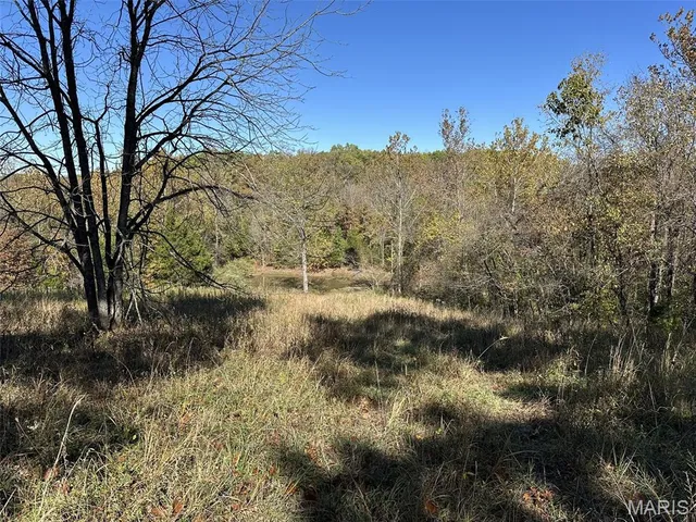 $399,000 | 303 Bird Song Lane, St. Clair, MO 63077