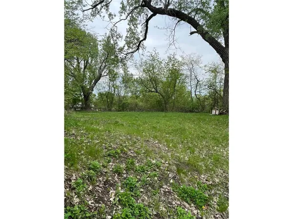 $45,000 | 137 Sims Avenue East, St. Paul, MN 55117