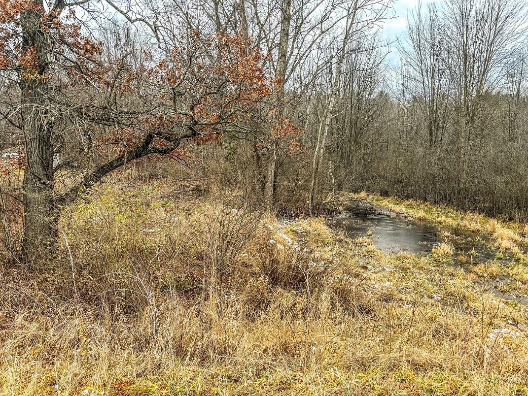 Vl Coon Hill Road Munith, MI 49259 - Photo 1 of 17 NE Corner