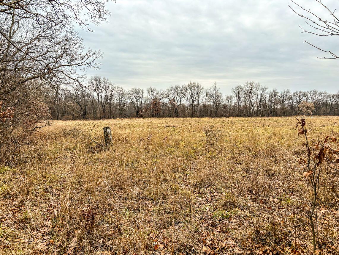 Vl Coon Hill Road Munith, MI 49259 - Photo 12 of 17 Tillable Field