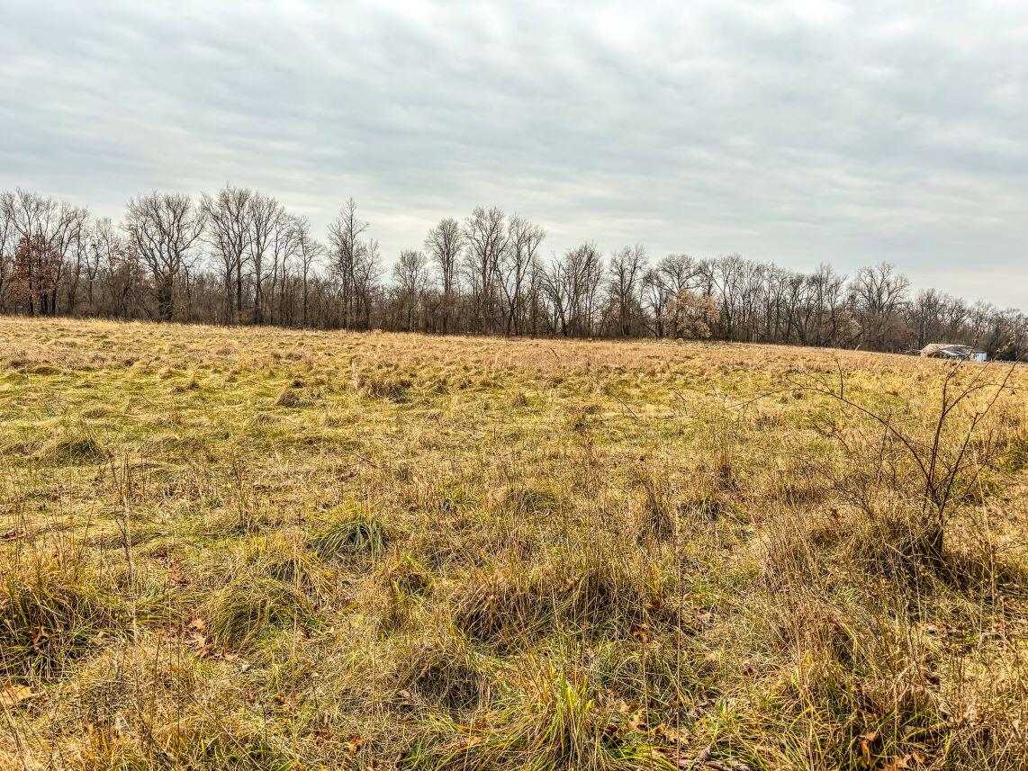 Vl Coon Hill Road Munith, MI 49259 - Photo 13 of 17 Tillable Field