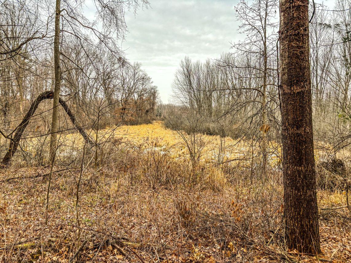 Vl Coon Hill Road Munith, MI 49259 - Photo 14 of 17 West side marsh