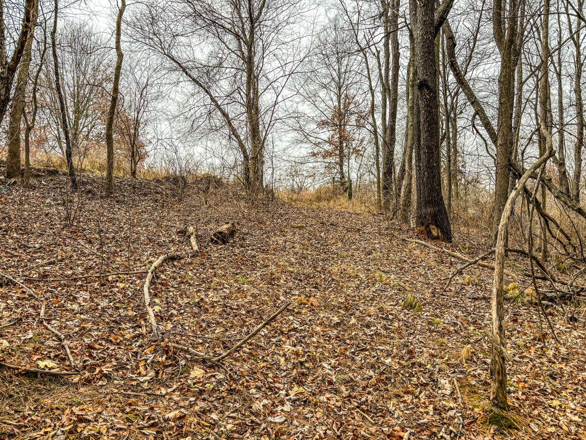 Vl Coon Hill Road Munith, MI 49259 - Photo 15 of 17 Ridgeline