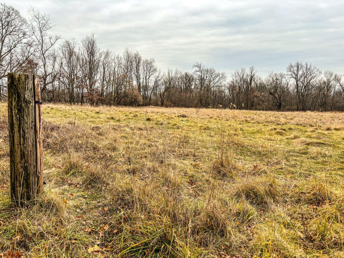 Vl Coon Hill Road Munith, MI 49259 - Photo 3 of 17 Tillable Field