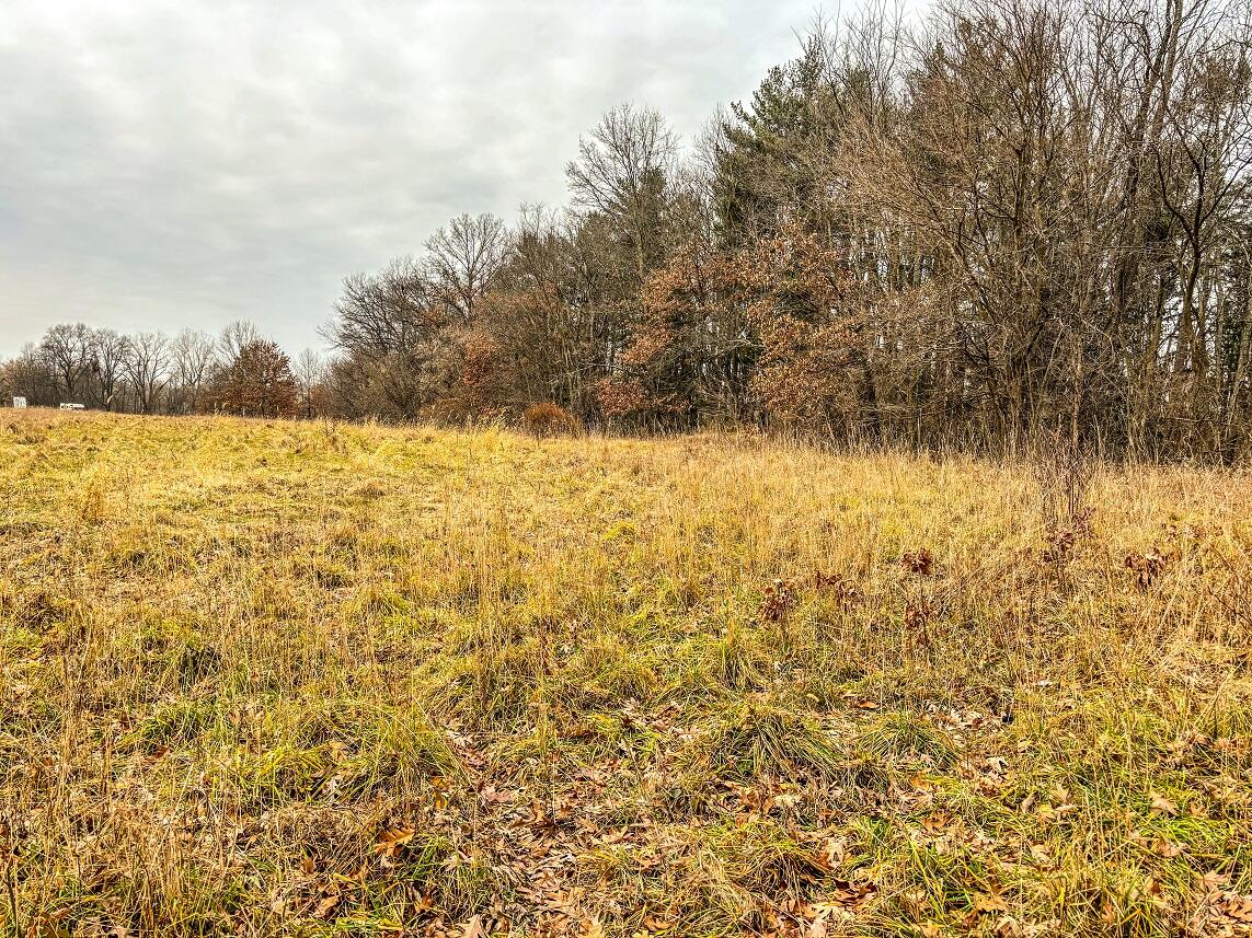 Vl Coon Hill Road Munith, MI 49259 - Photo 4 of 17 Tillable Field
