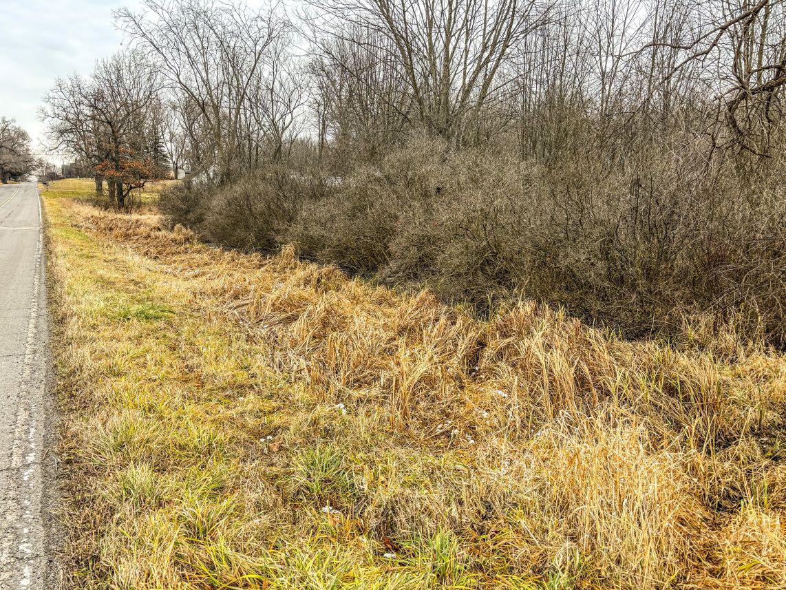 Vl Coon Hill Road Munith, MI 49259 - Photo 8 of 17 Road Frontage 1