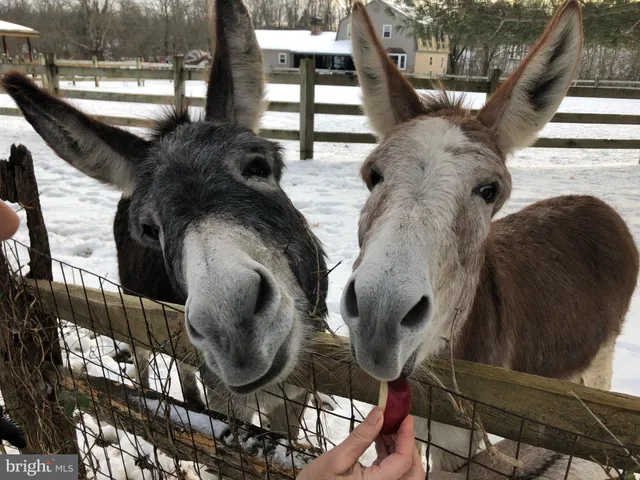 $999,999 | 1221 Creek Road, Furlong, PA 18925