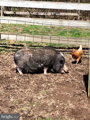 $999,999 | 1221 Creek Road, Furlong, PA 18925