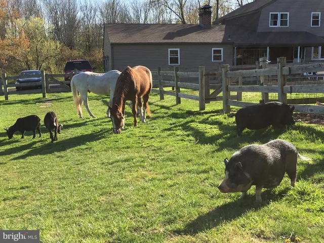 $999,999 | 1221 Creek Road, Furlong, PA 18925