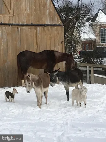 $999,999 | 1221 Creek Road, Furlong, PA 18925