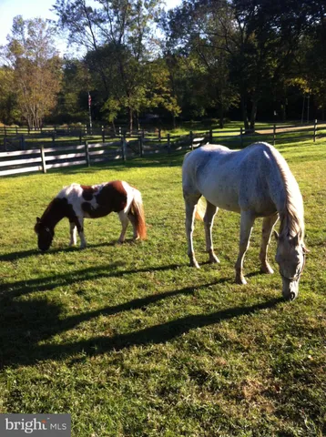 $999,999 | 1221 Creek Road, Furlong, PA 18925