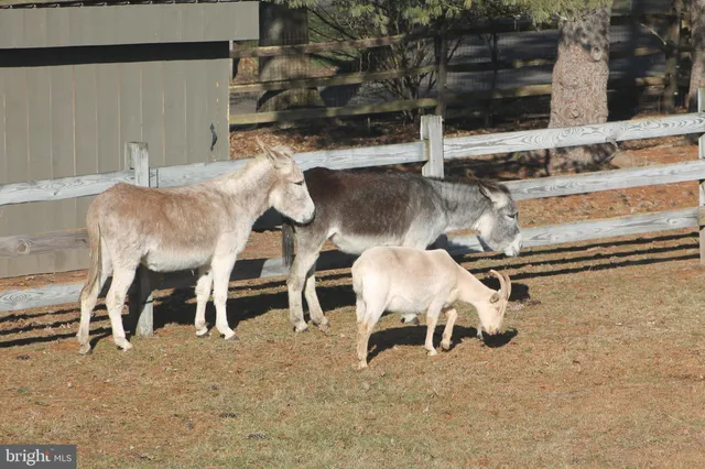 $999,999 | 1221 Creek Road, Furlong, PA 18925