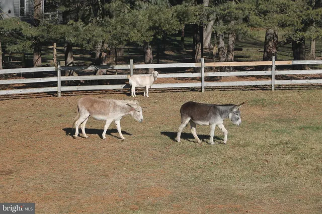 $999,999 | 1221 Creek Road, Furlong, PA 18925