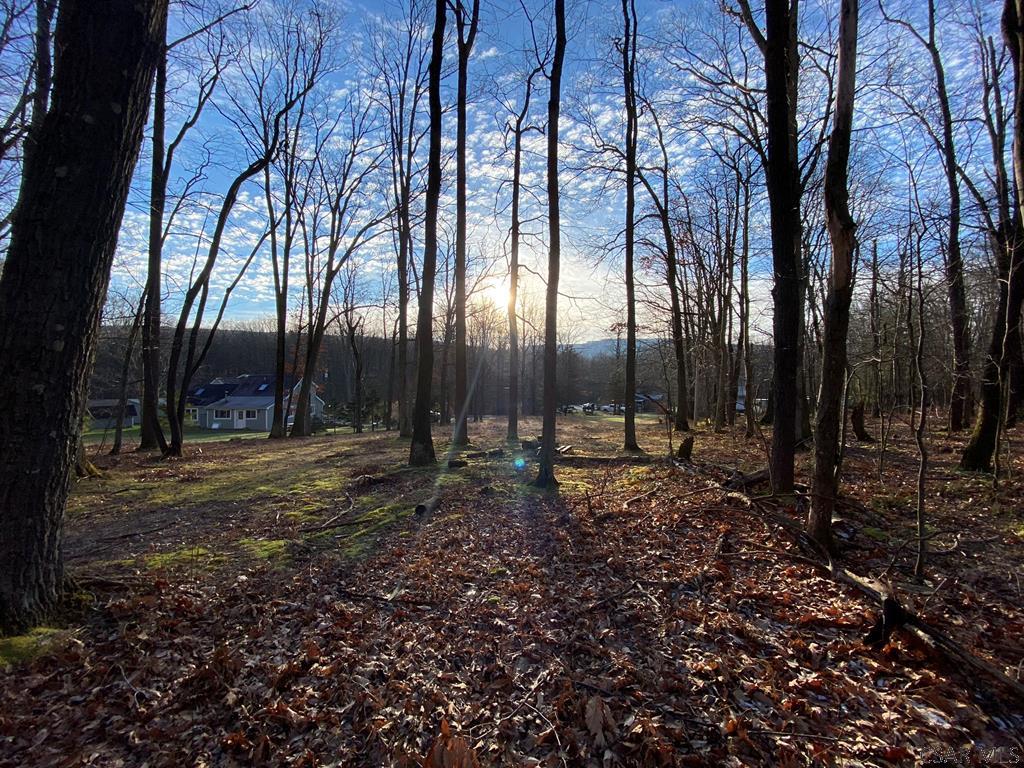 Rudder Road Ligonier, PA 15658 - Photo 12 of 12