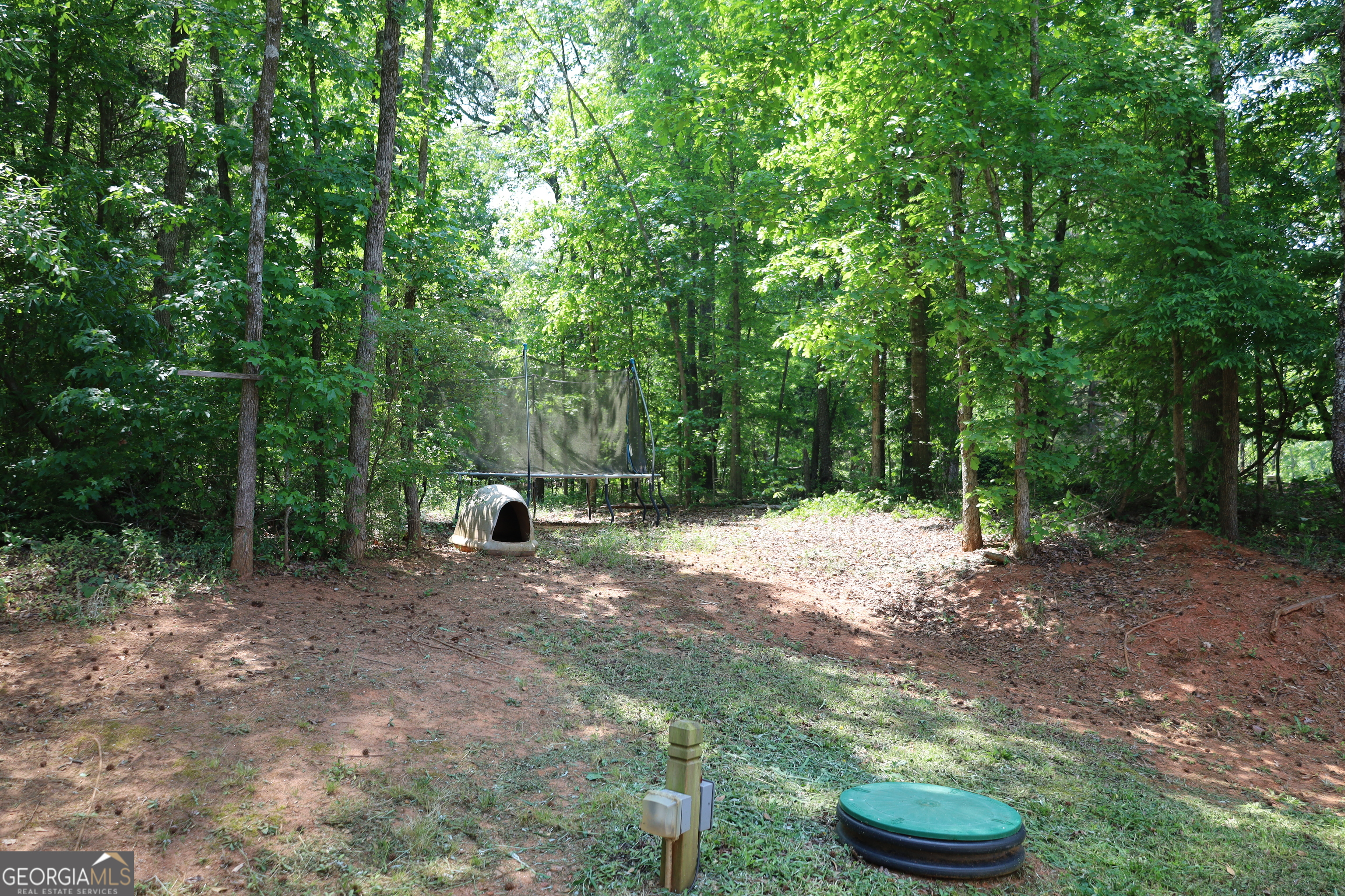 11313 Highway 334 Nicholson, GA 30565 - Photo 6 of 15