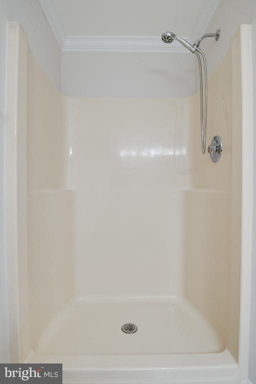 8115 Stacey Road Alexandria, VA 22308 - Photo 28 of 35 a bathroom with a shower