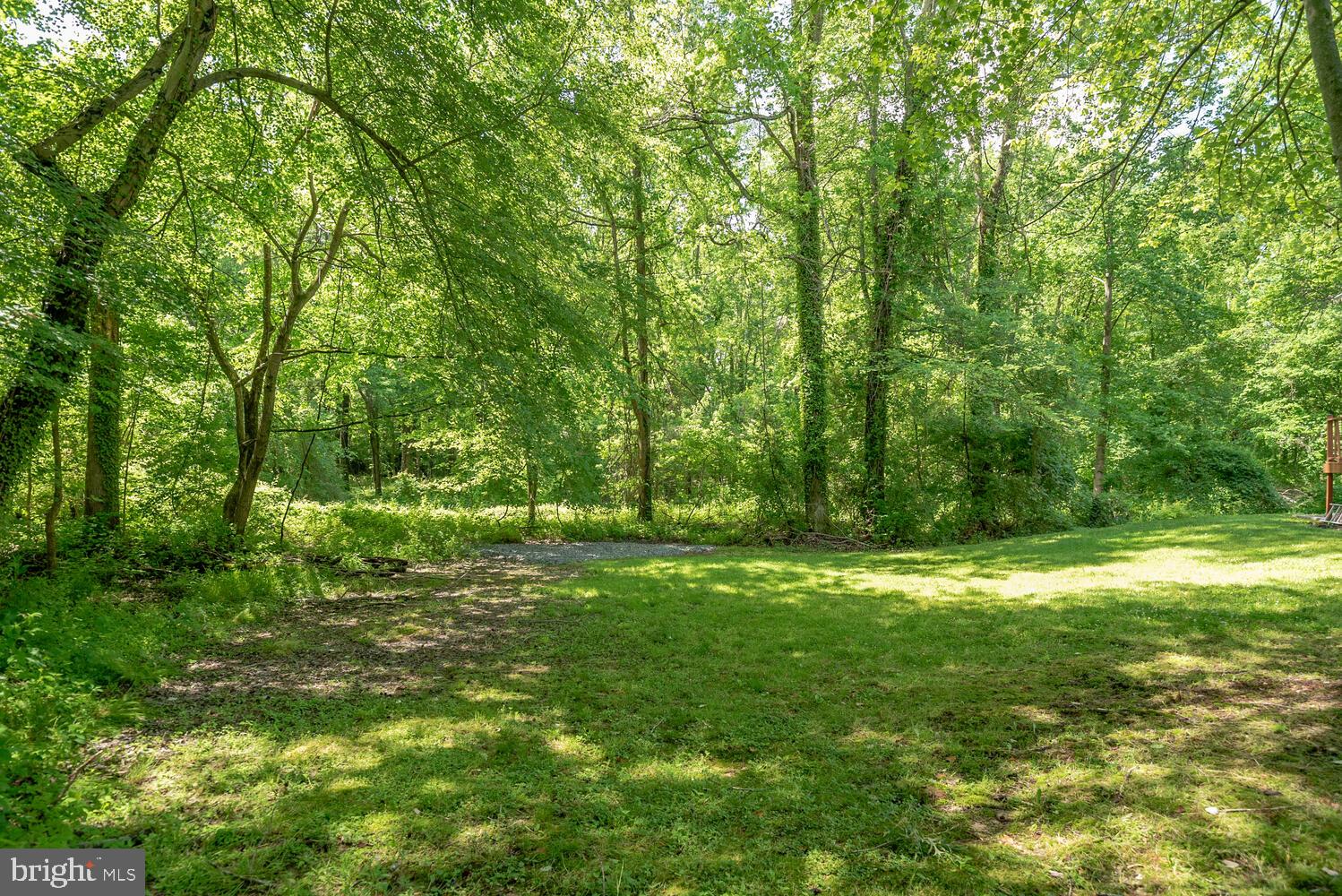 8115 Stacey Road Alexandria, VA 22308 - Photo 35 of 35 a yard with trees in the background