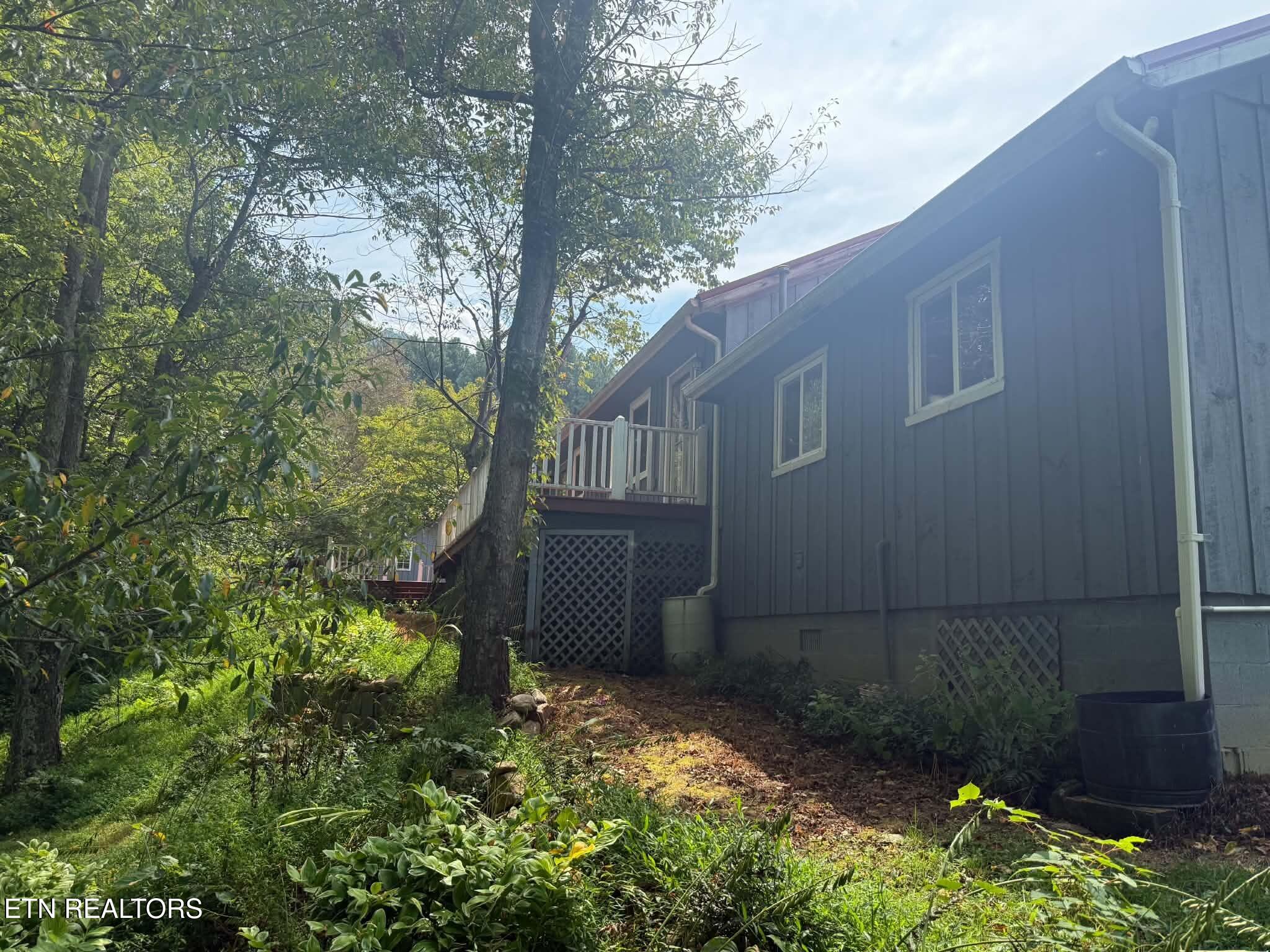 925 Tweed Springs Road Greeneville, TN 37743 - Photo 14 of 47 1-14