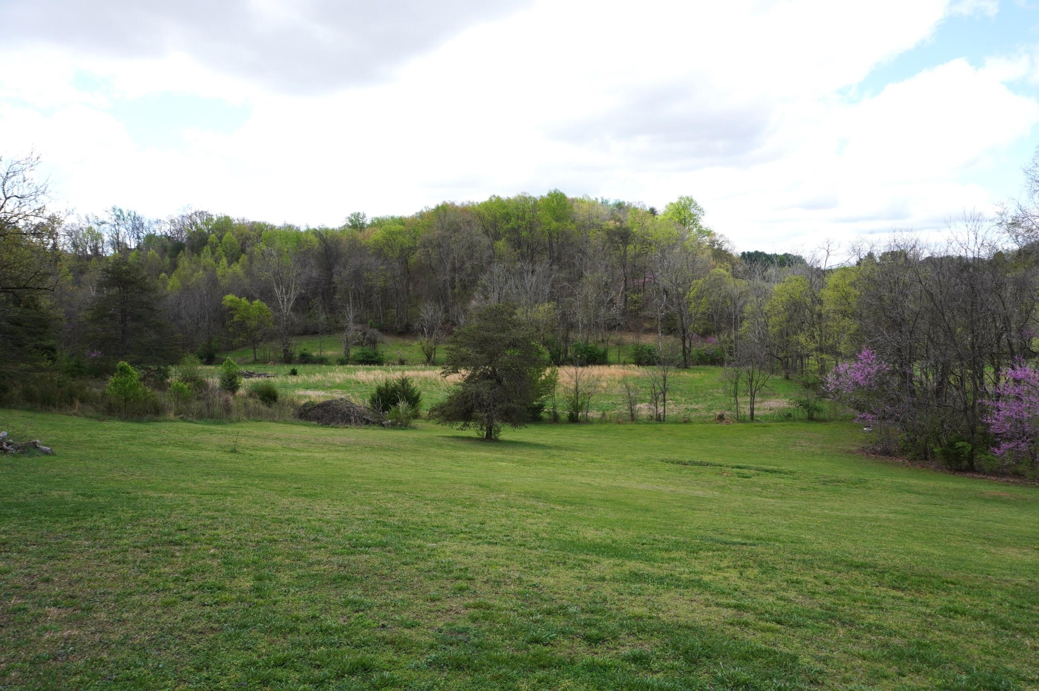 1301 Pratt Road Talbott, TN 37877 - Photo 11 of 31 Gallery Image 11