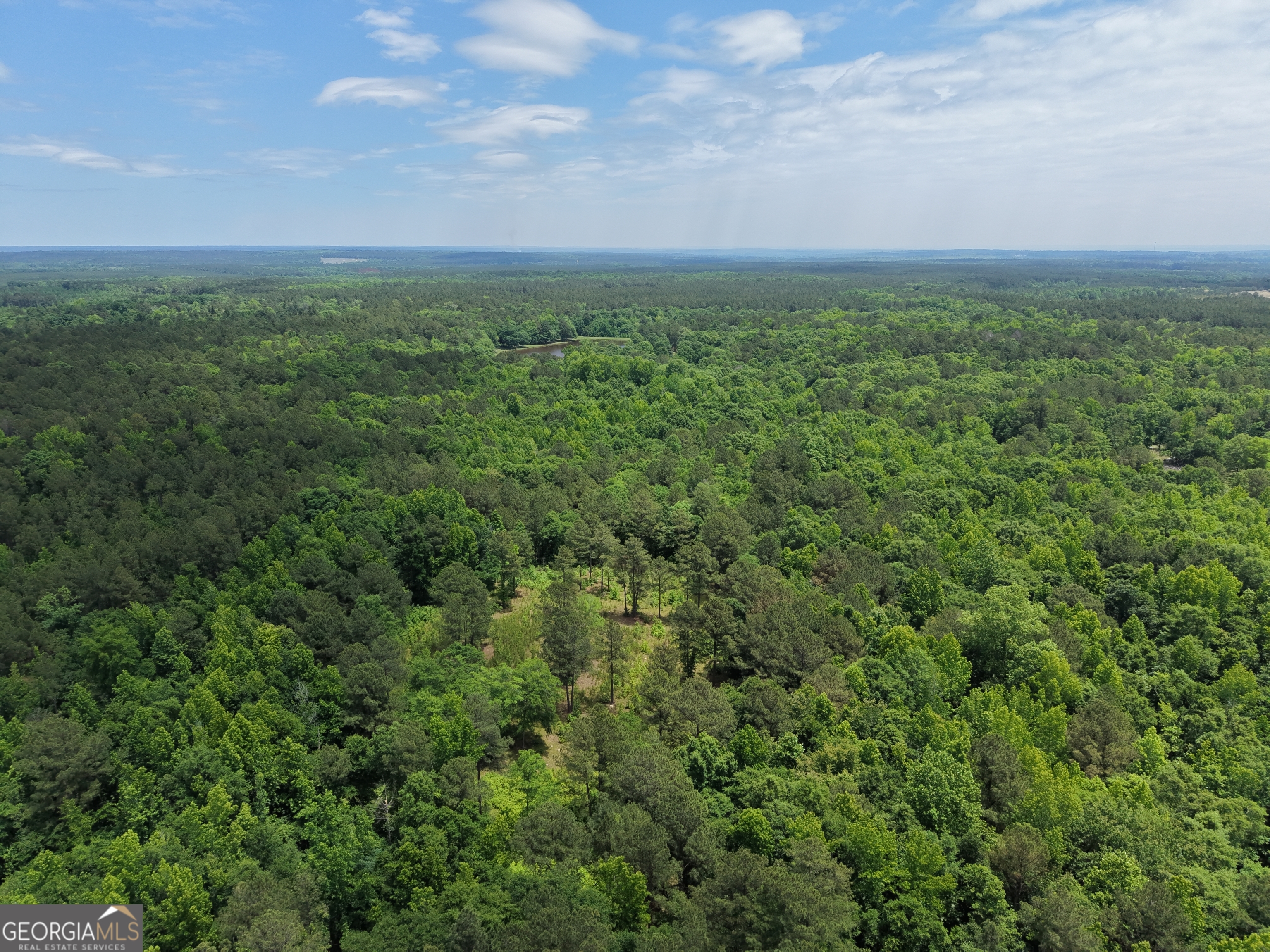 715 Fulsome Creek Road Sparta, GA 31087 - Photo 26 of 117