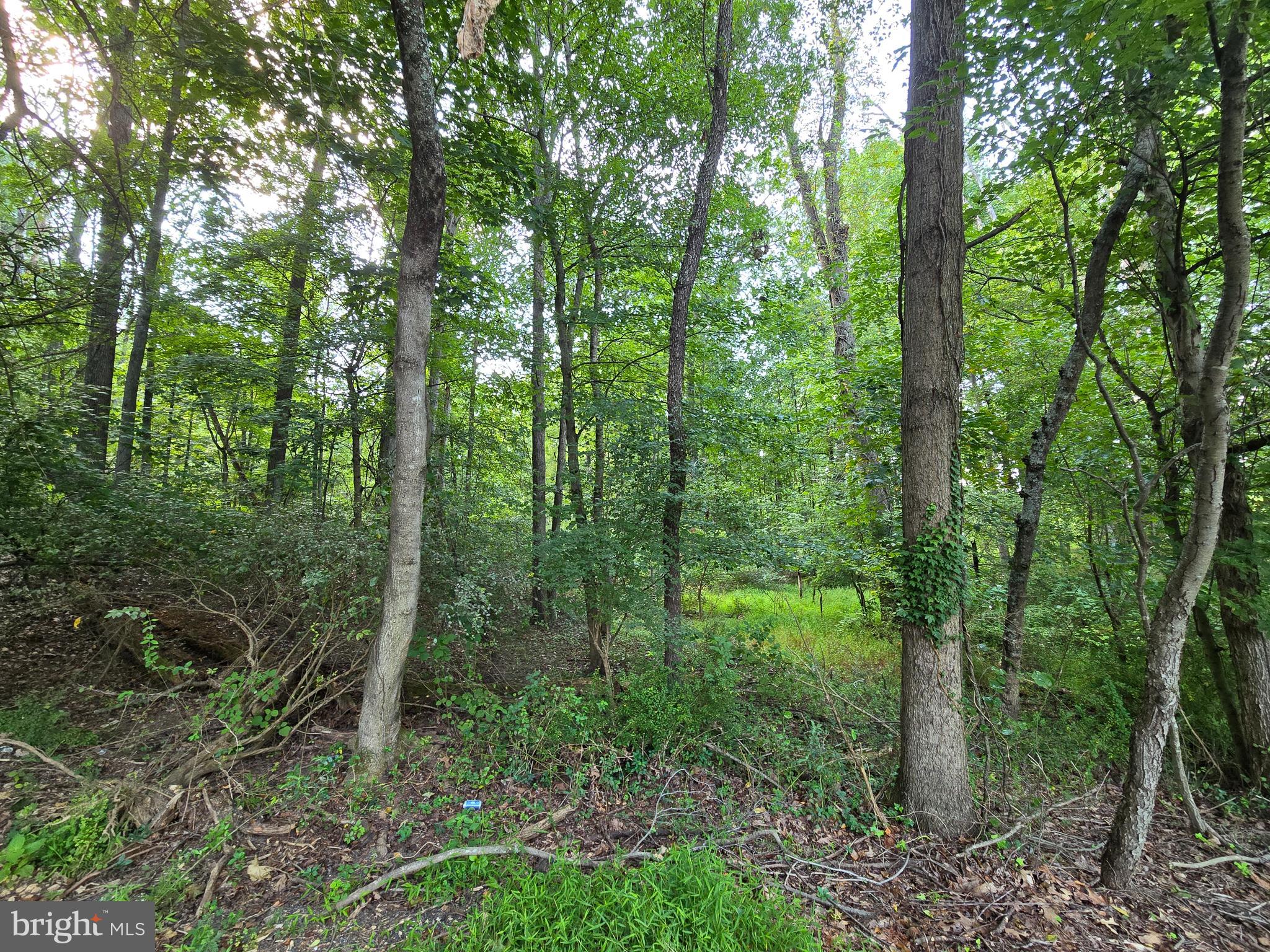 Bennett Rd Mount Mount Airy, MD 21771 - Photo 1 of 5 3.24 Wooded Acres Bennett Road
