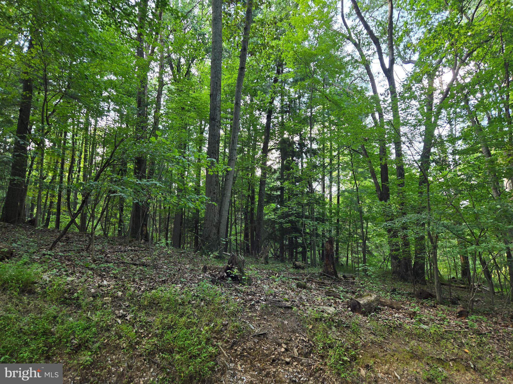 Bennett Rd Mount Mount Airy, MD 21771 - Photo 4 of 5