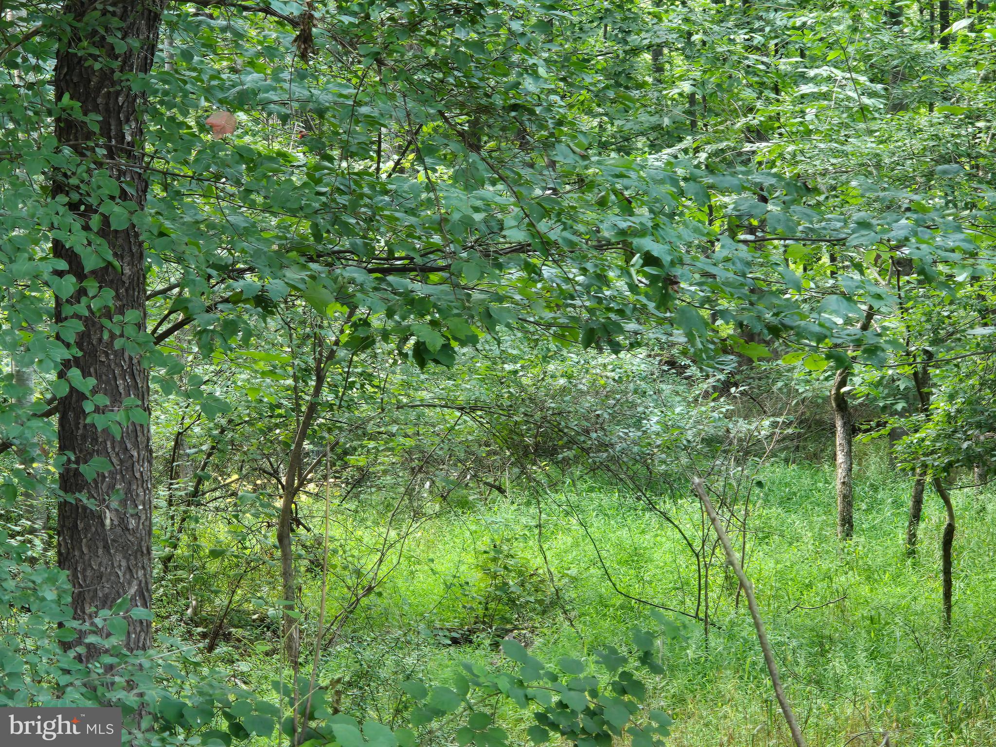 Bennett Rd Mount Mount Airy, MD 21771 - Photo 5 of 5