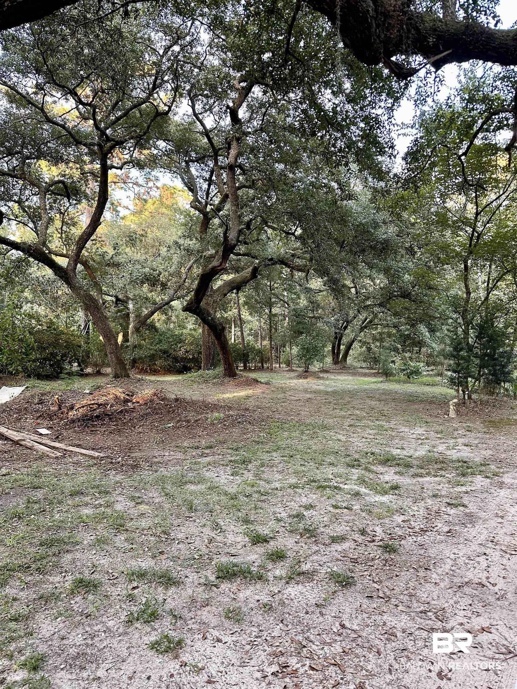 11057 Boudan Lane Foley, AL 36535 - Photo 15 of 18 View of yard