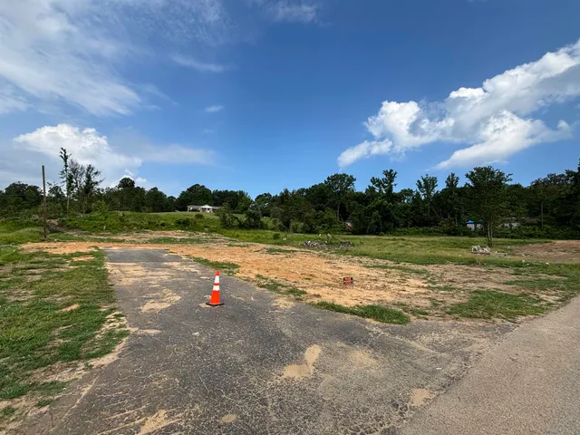 a view of a town with palm trees