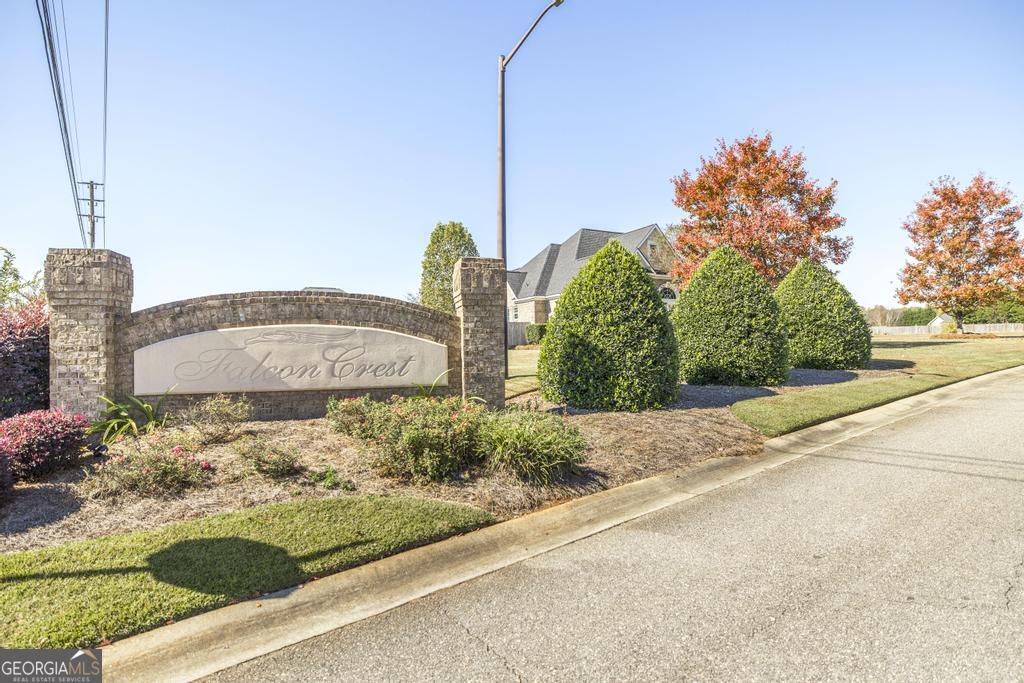 35 Falcon Crest Way Byron, GA 31008 - Photo 46 of 46