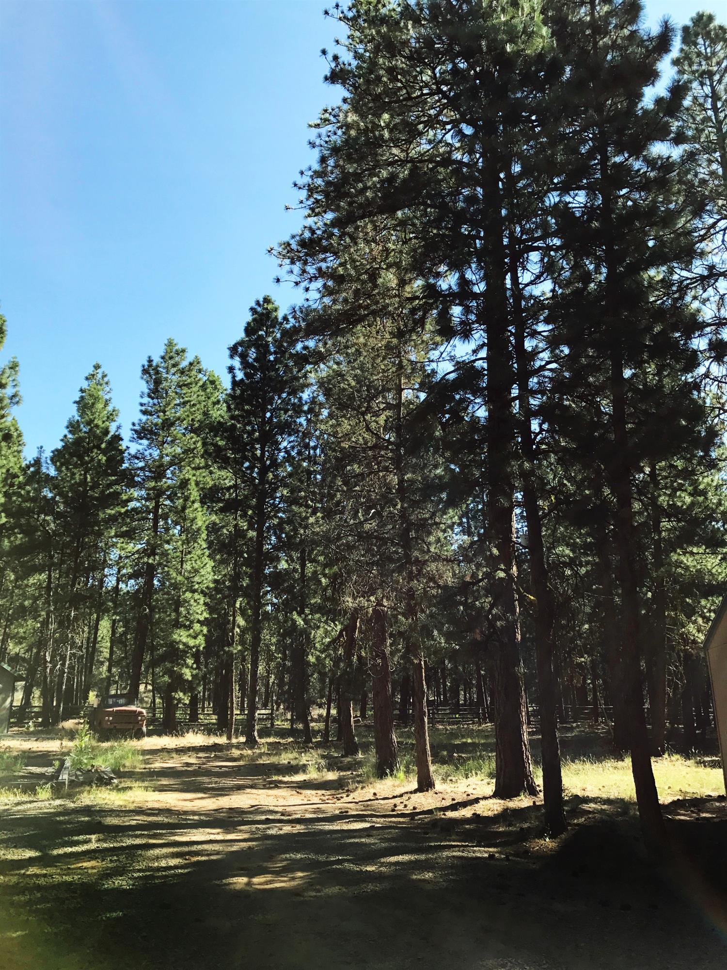29413 Thunderbear Road Bonanza, OR 97623 - Photo 22 of 29 Additional Photo