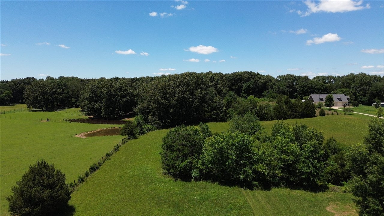 0 Macedonia Road Franklin, KY 42134 - Photo 8 of 10 Gallery Image 8