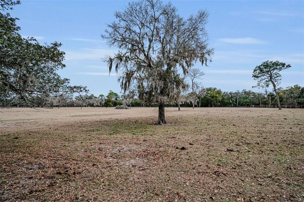 7230 Old Homestead Road New Port Richey, FL 34654 - Photo 92 of 99 Gallery Image 92
