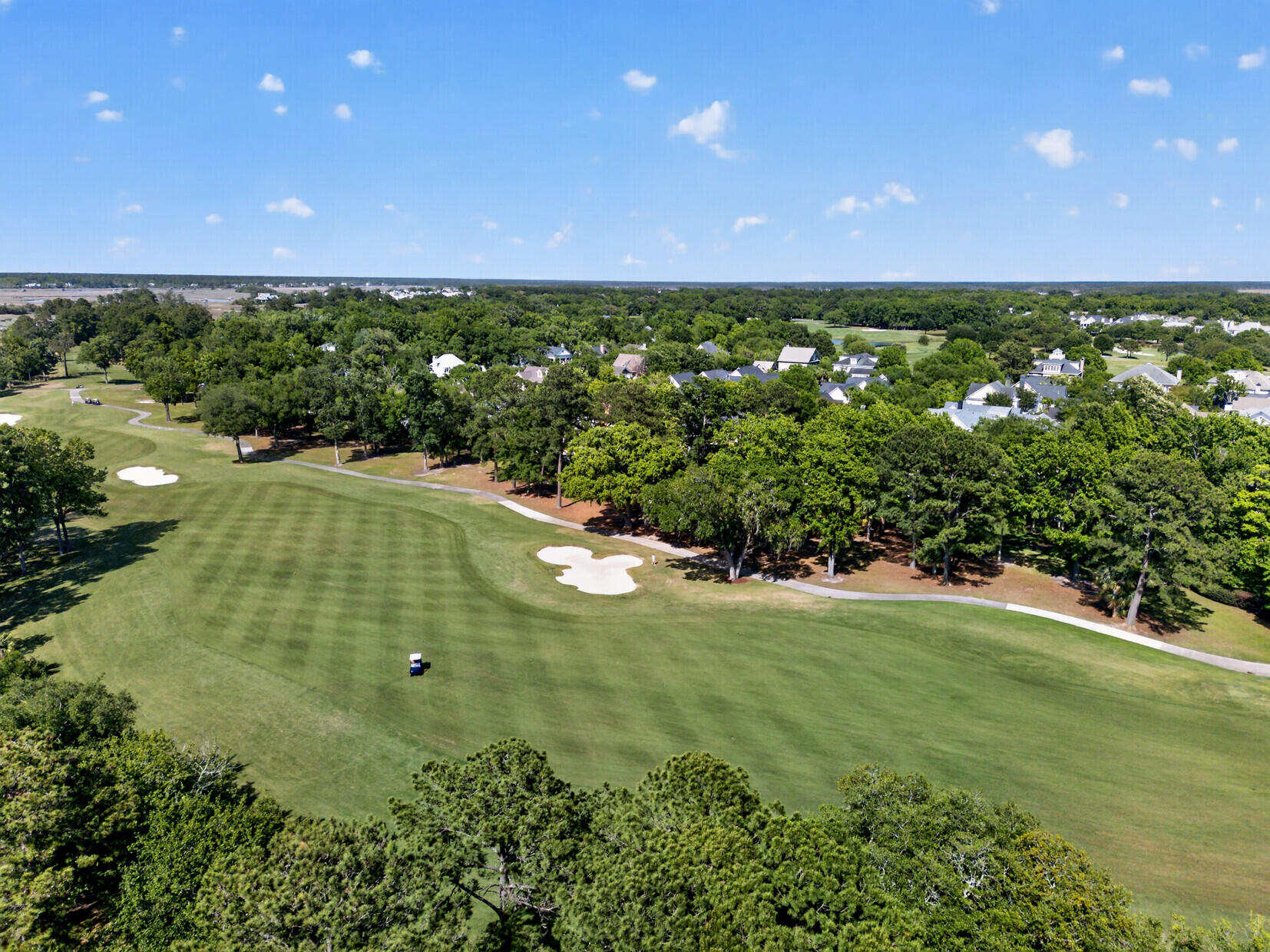 9 Watroo Point Charleston, SC 29492 - Photo 24 of 53 Golf Course Living