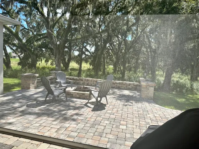 a view of a yard with plants and trees