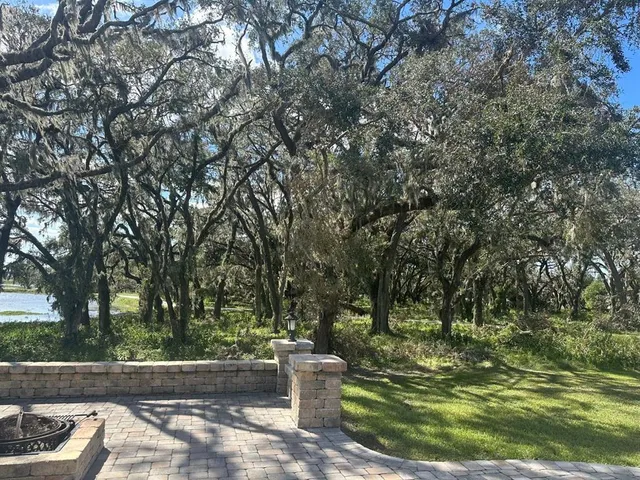 a view of a backyard with fountain plants and large trees