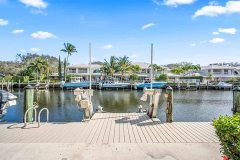a view of a lake with boats and palm trees