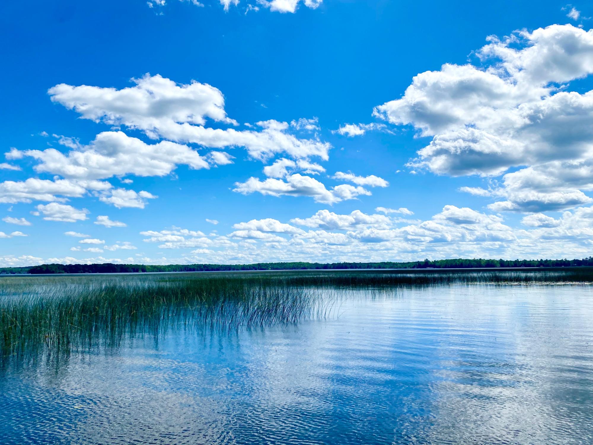 2597 Uncle Ben Road Pelican Lake, WI 54463 - Photo 28 of 31 Gallery Image 28