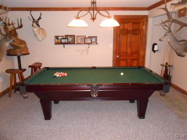 245 Chestnut Hill Road Emmaus, PA 18049 - Photo 13 of 14 Rec room