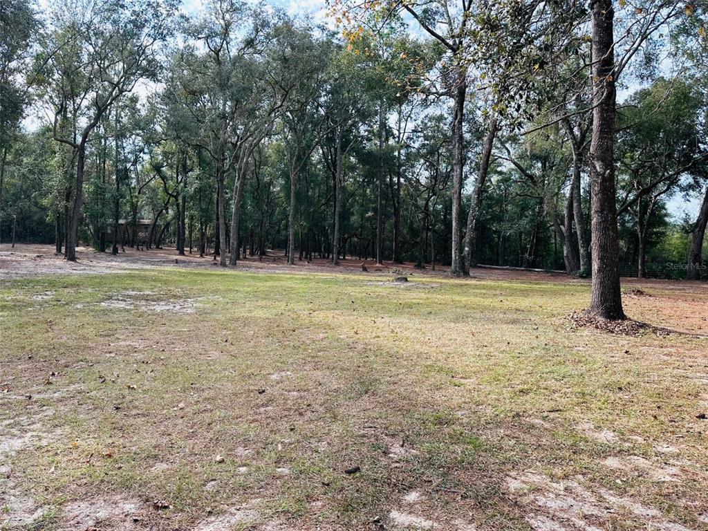 13750 Northwest 88th Terrace Chiefland, FL 32626 - Photo 29 of 33 a view of outdoor space with trees