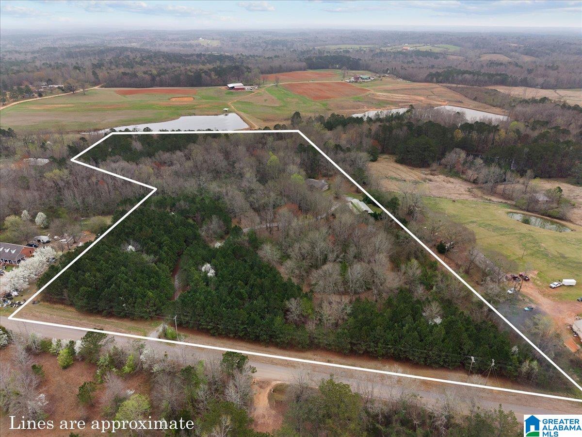3280 County Road 32 Clanton, AL 35046 - Photo 52 of 54