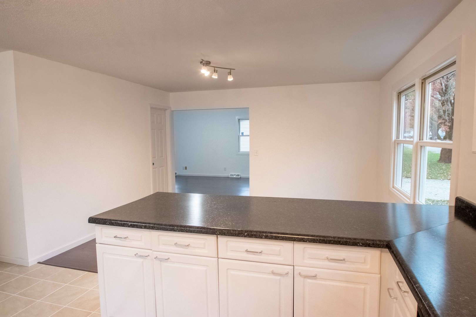 409 West Broadway Ogden, IL 61859 - Photo 5 of 17