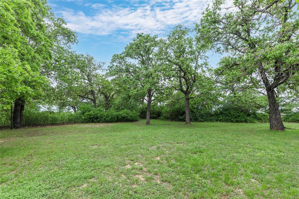 4300 County Road 372 Early, TX 76802 - Photo 32 of 40 a view of a green field with trees in the background