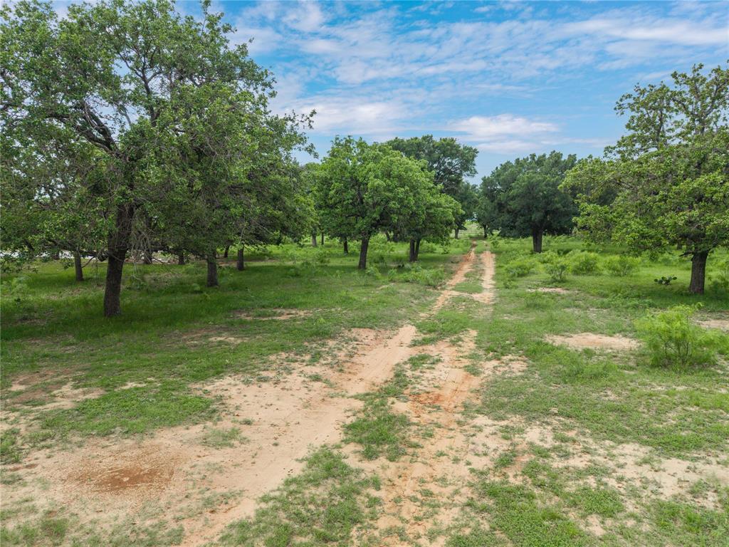 4300 County Road 372 Early, TX 76802 - Photo 37 of 40 a backyard of a house with lots of green space