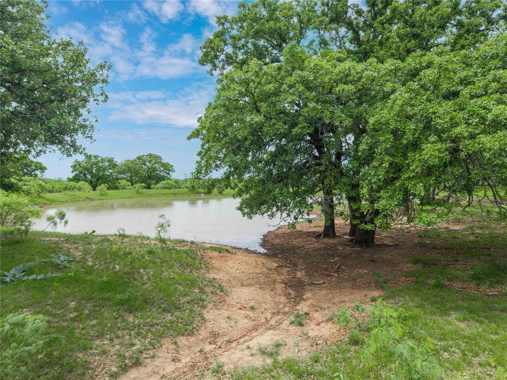4300 County Road 372 Early, TX 76802 - Photo 39 of 40 a view of a lake with a tree