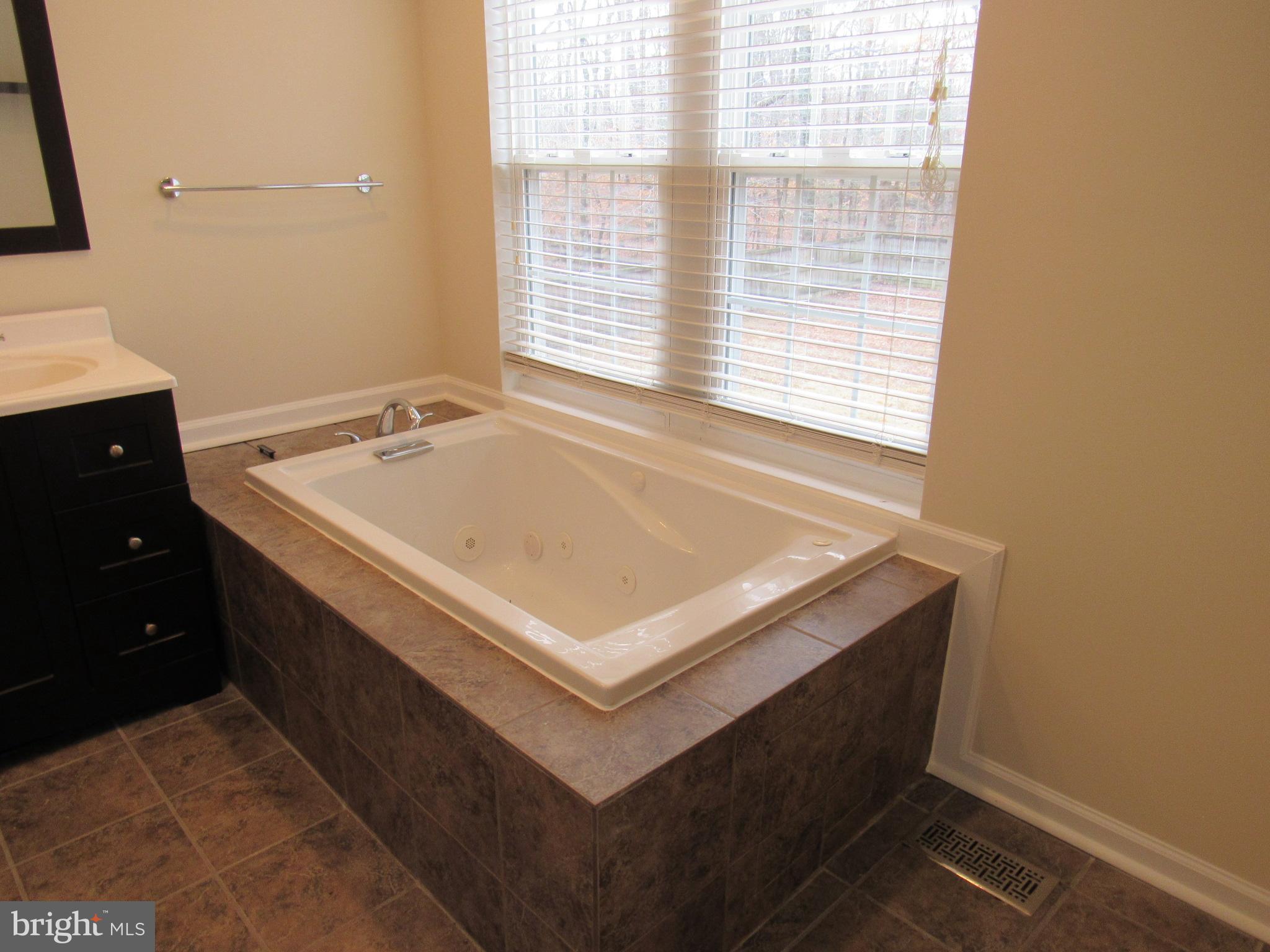 8807 Charm Court Brandywine, MD 20613 - Photo 19 of 30 Bath (Master)