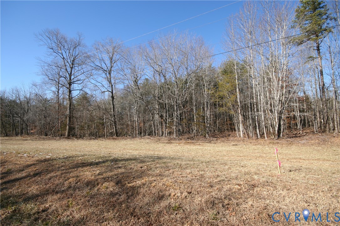 0 Slate River Mill Road Dillwyn, VA 23936 - Photo 14 of 16 Gallery Image 14
