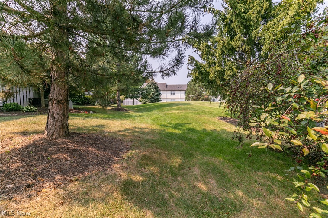 4232 River Ridge Drive Cleveland, OH 44109 - Photo 34 of 35 Gallery Image 34