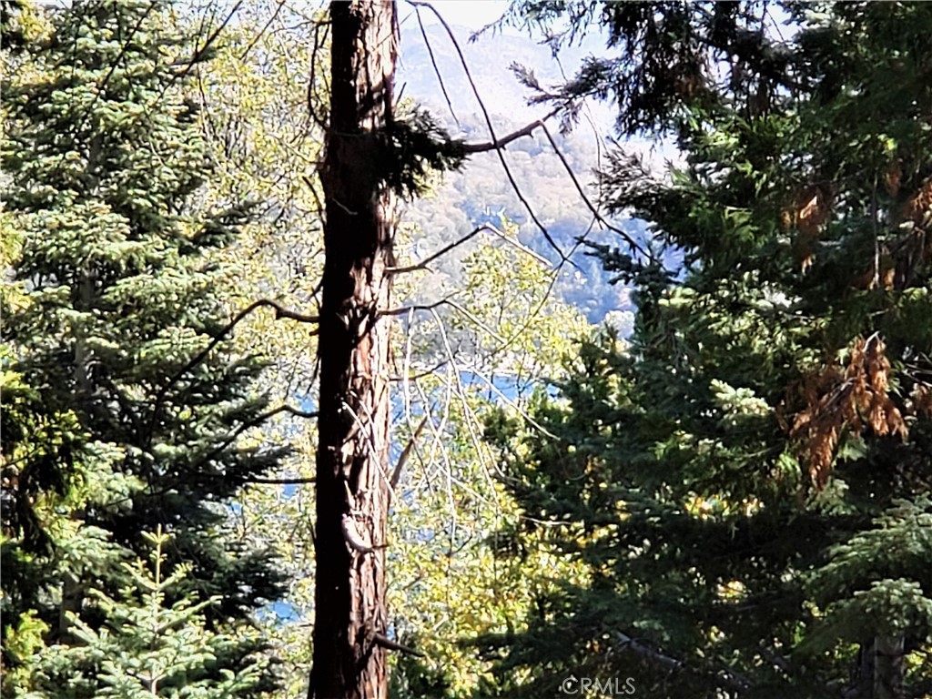 330 Castle Gate Road Lake Arrowhead, CA 92352 - Photo 7 of 12
