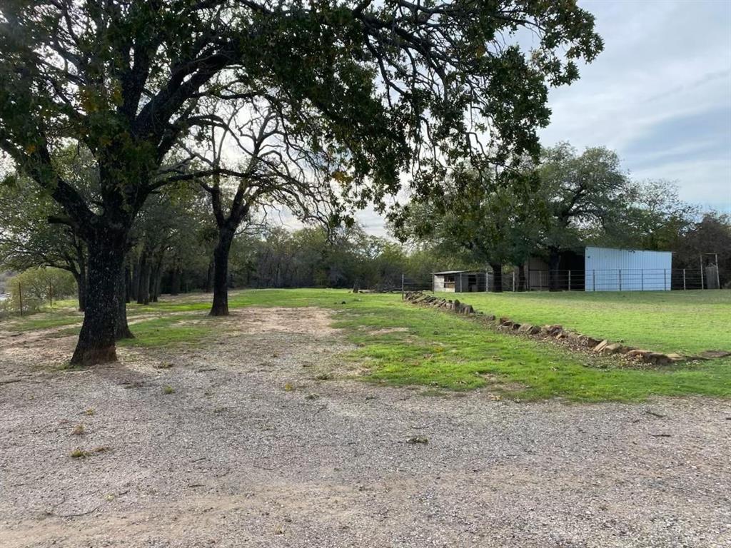 1227 Highway 82 Nocona, TX 76255 - Photo 3 of 19 a huge green field with lots of trees